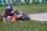 20110501_ales_agnus (3031)